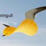 IMG_20250613_065533
