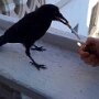 IMG_20250608_054608