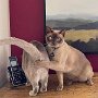 IMG_20250614_074821