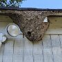 IMG_20250615_054742