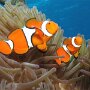 IMG_20250616_065543
