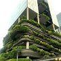 IMG_20250616_065746