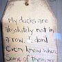 IMG_20250616_065759