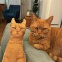 IMG_20250617_070914