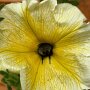 IMG_20250618_070530