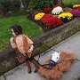 IMG_20250619_070705