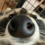 IMG_20250619_070858