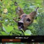 IMG_20250619_070946