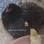 IMG_20250619_071000