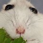 IMG_20250620_071058