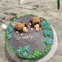 IMG_20250621_094843