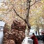 IMG_20250622_085535
