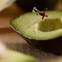 IMG_20250623_065427