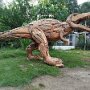 IMG_20250625_070557