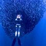 IMG_20250829_065215