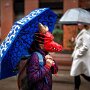 IMG_20250804_070509