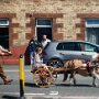 IMG_20250806_065401