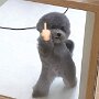 IMG_20250814_064224