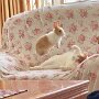 IMG_20250814_064241