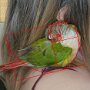 IMG_20250815_064225