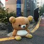 IMG_20250817_074722