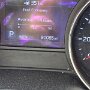 IMG_20250819_070318