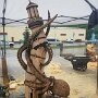 IMG_20250820_065847