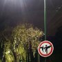 IMG_20250820_065944