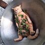 IMG_20250822_070403
