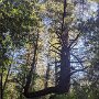 IMG_20250822_070423
