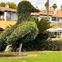 IMG_20250822_070441