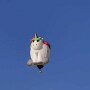 IMG_20250822_070531