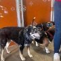 IMG_20250823_083105