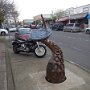 IMG_20250823_083528