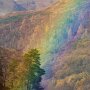 IMG_20250824_074621