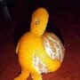 IMG_20250825_064644