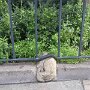 IMG_20250825_064756