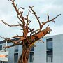 IMG_20250825_064912
