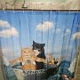 IMG_20250825_064918