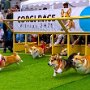 IMG_20250827_064628