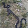 IMG_20250918_064957