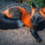 IMG_20250919_070354