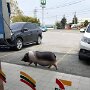 IMG_20250919_070420
