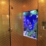 IMG_20250921_073420