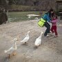 IMG_20250922_064918