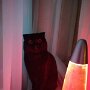 IMG_20250922_064954