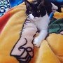 IMG_20250924_065006