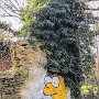 IMG_20250924_065149