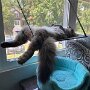 IMG_20251013_103449