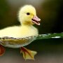 IMG_20251013_103547